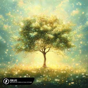 偷窥Japanese女厕大便
