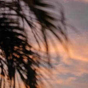 偷窥Japanese女厕大便
